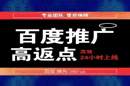 搜索引擎营销（SEM）托管服务在某企业的成功应用