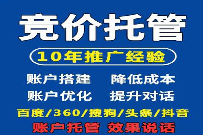 百度竞价推广在电商领域的赚钱案例